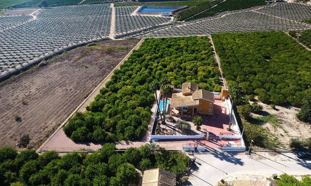 Reventa - Finca -
Orihuela Costa - Orihuela