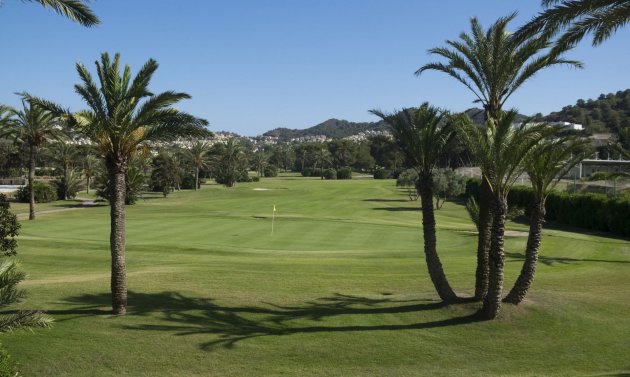 Obra nueva - Bungalow -
La Manga Club