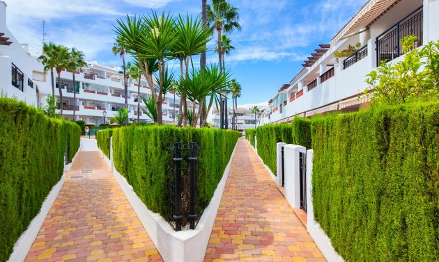 Wiederverkauf - Apartment - Top Floor -
Orihuela Costa - Villamartín