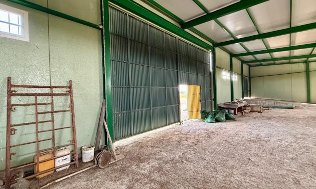 Resale - Villa -
San Miguel de Salinas